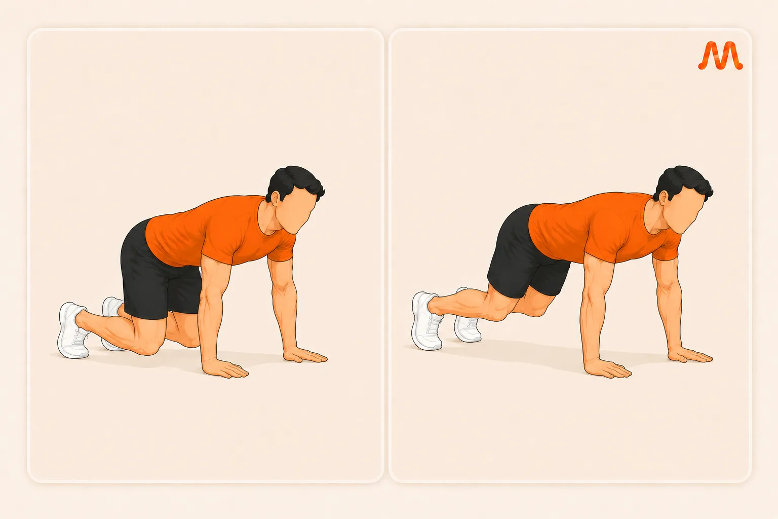 Bear Plank exercise illustration