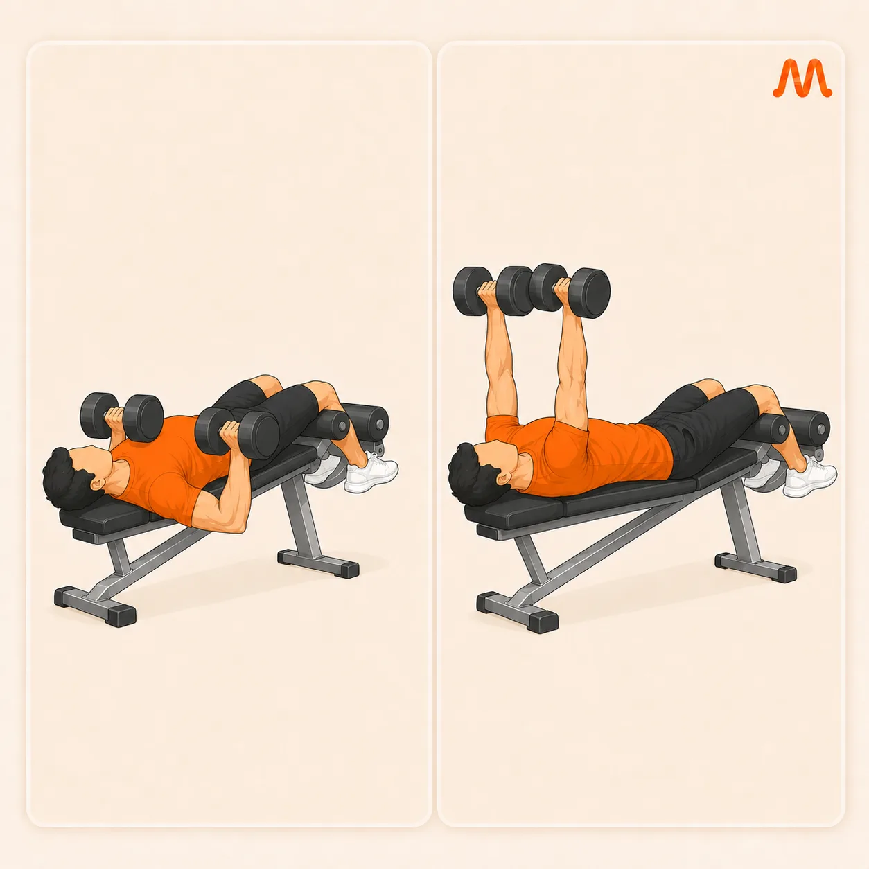 Decline Dumbbell Press exercise illustration