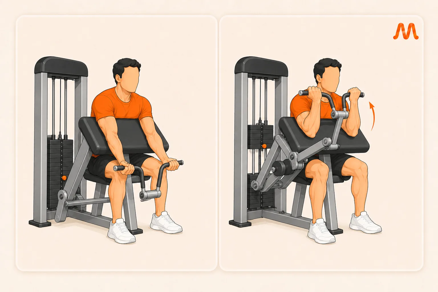 Machine Preacher Curl exercise illustration