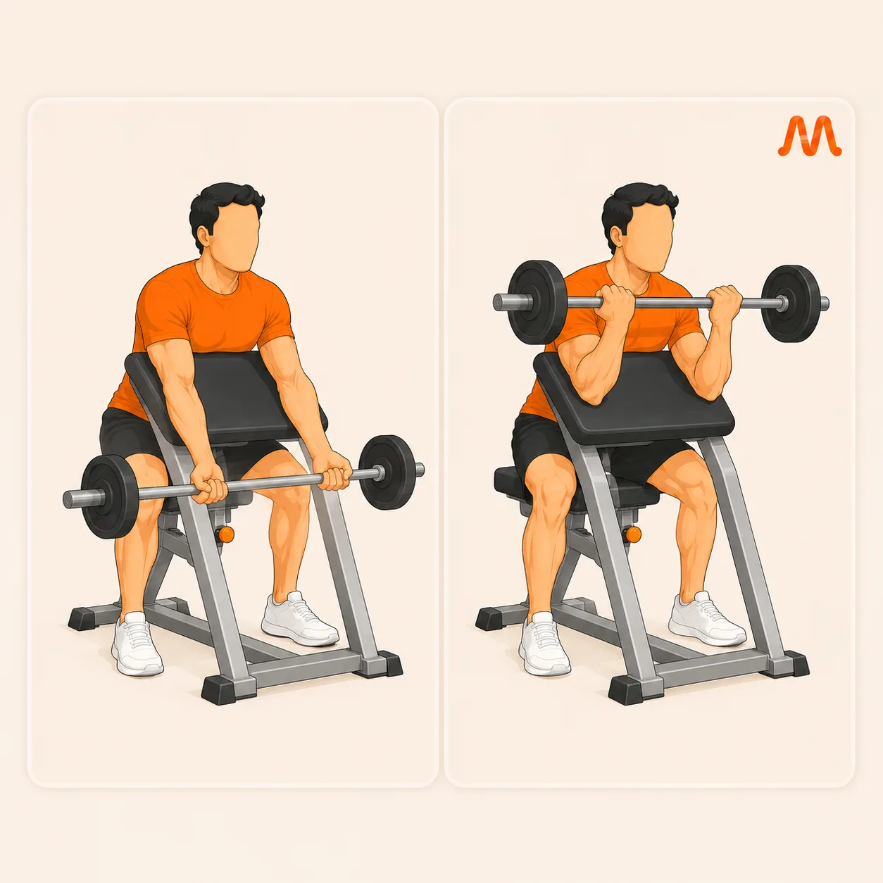 Preacher Curl exercise illustration