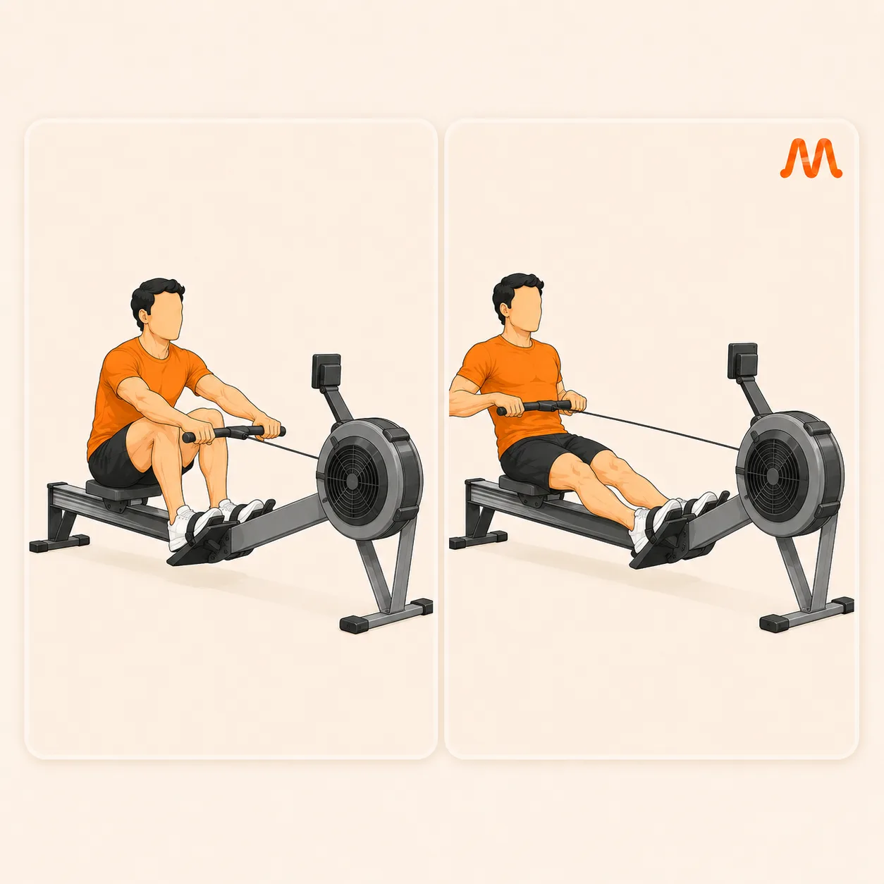 Rower (Steady) exercise illustration