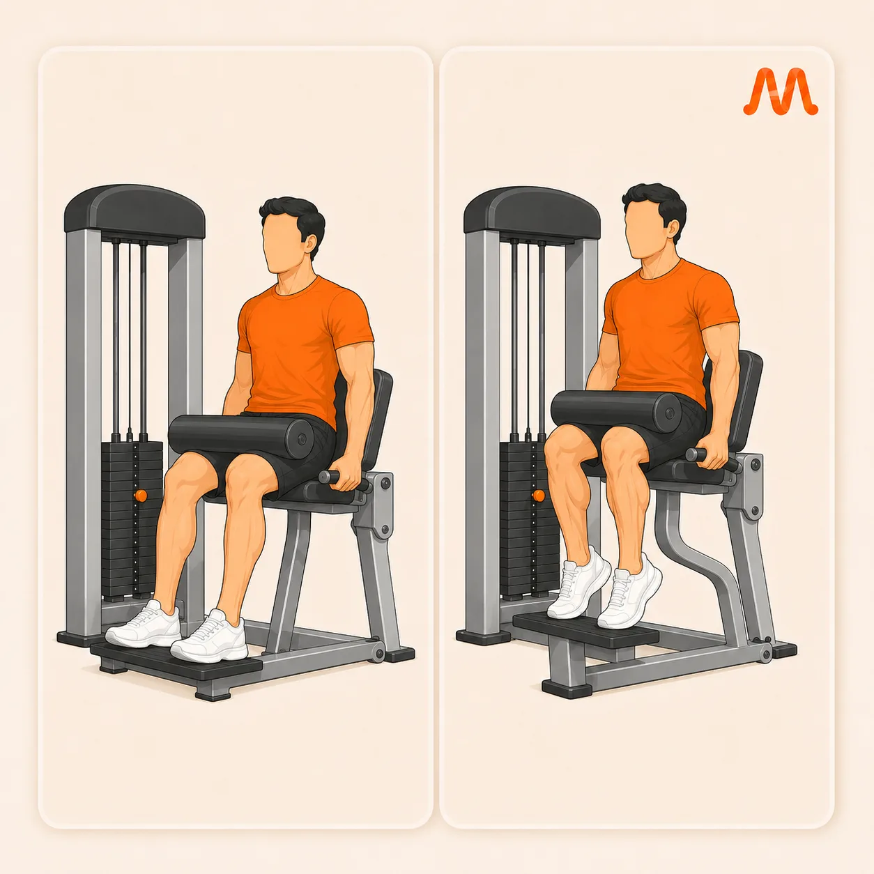 Seated Calf Raise exercise illustration